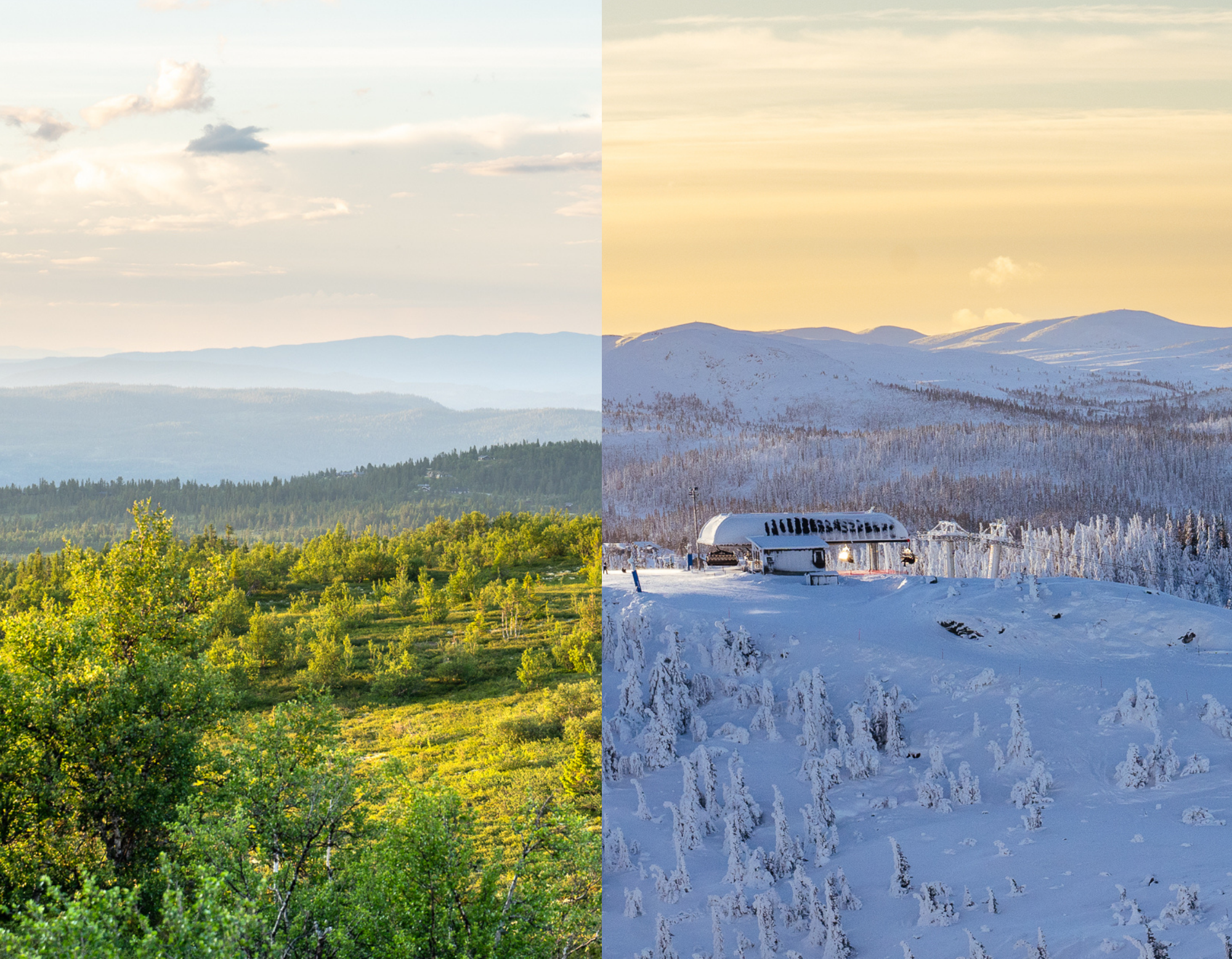 sommervinter