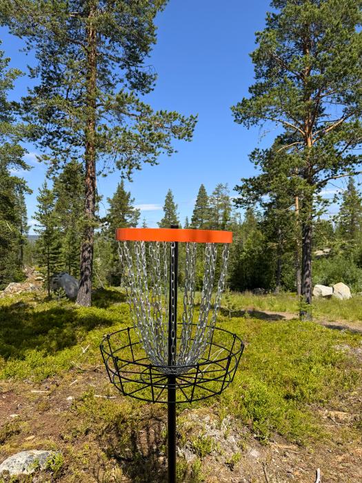 Frisbeegolf 