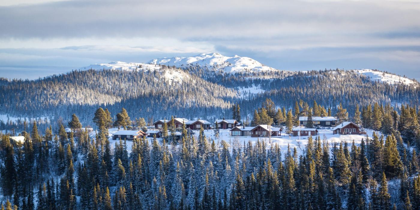En gruppe hus i en snødekt skog