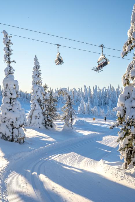 bilde av stolheis fra langrennsløypene