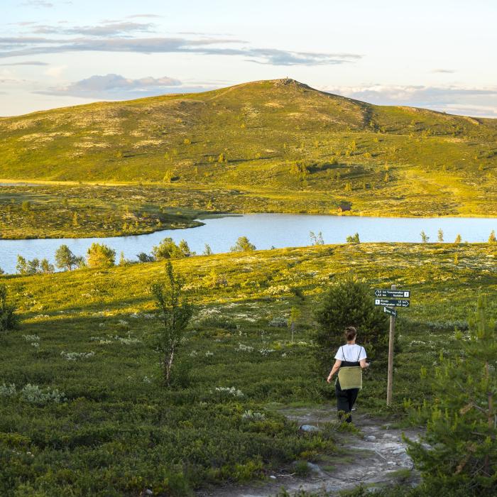kvinne på tursti i Nesfjellet