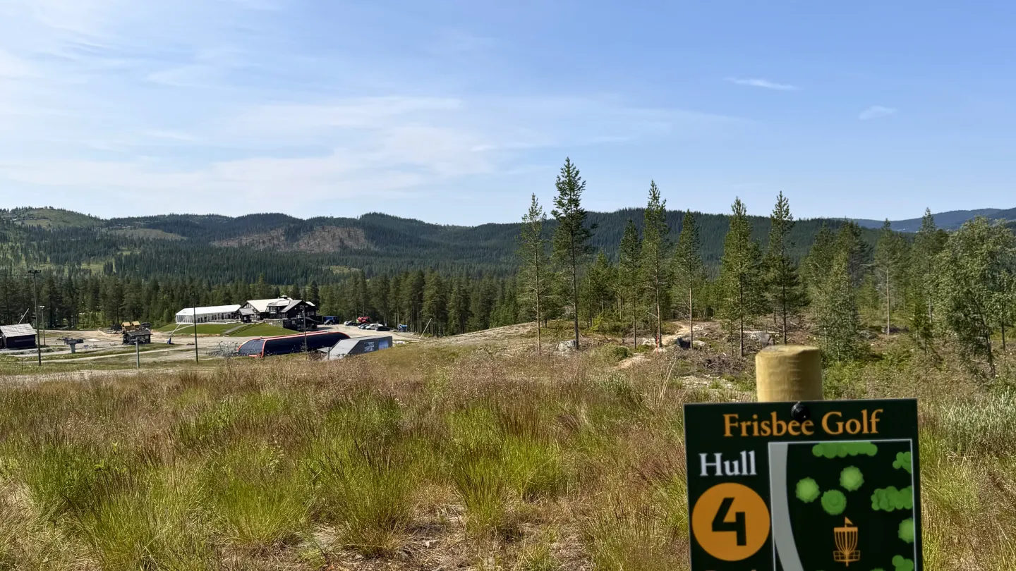 Frisbeegolf hull 4