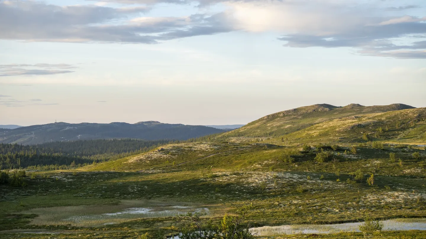 Bilde fra snaufjellet i Nesfjellet