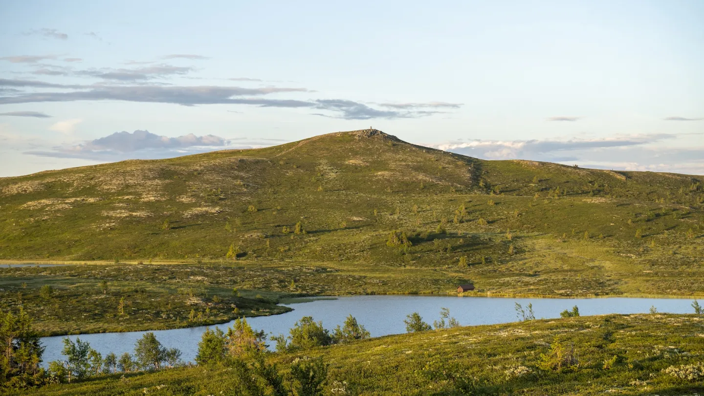 bilde av Trommenatten