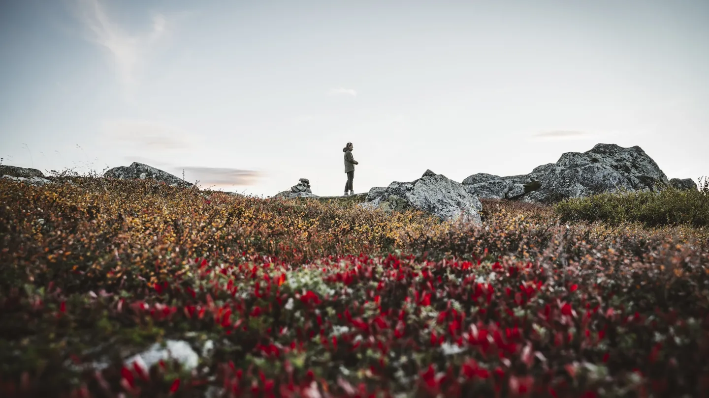 Person i solnedgang på fjellet i høstfarger