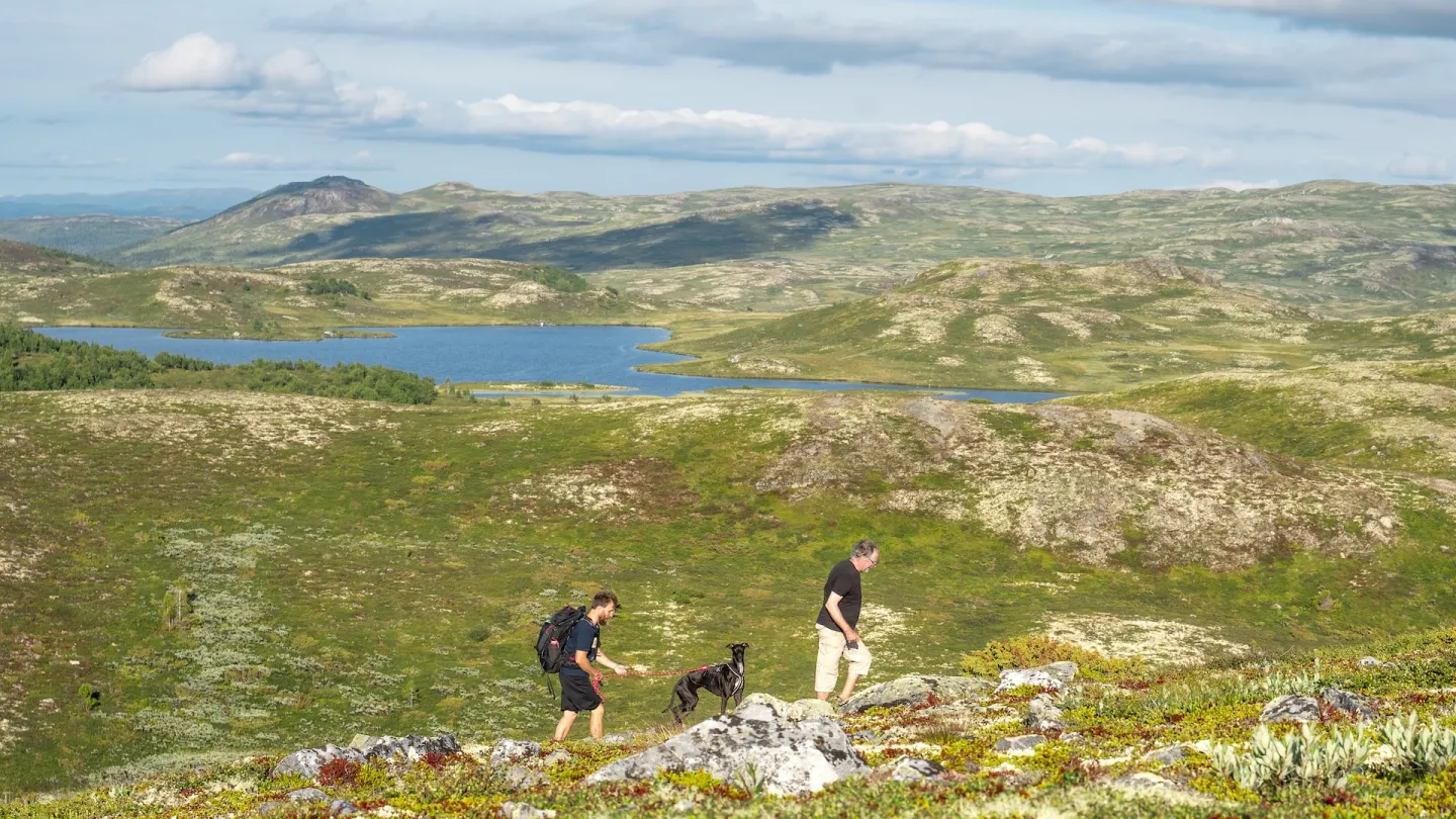 to personer og hund på tur opp Åkrefjell