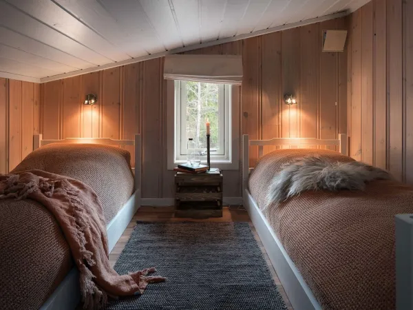 Høibu