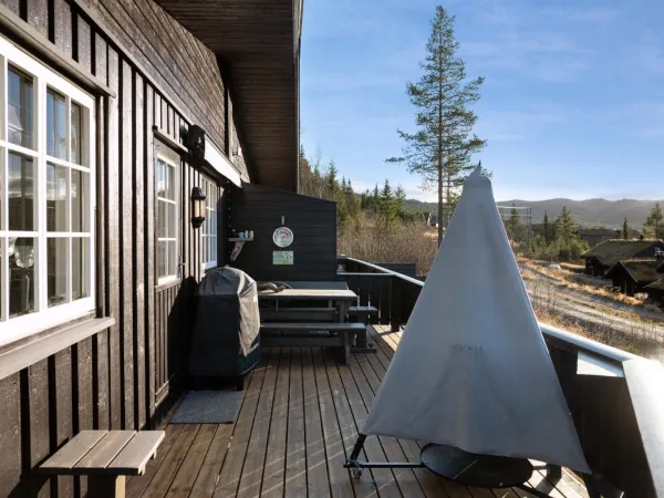 Høibu