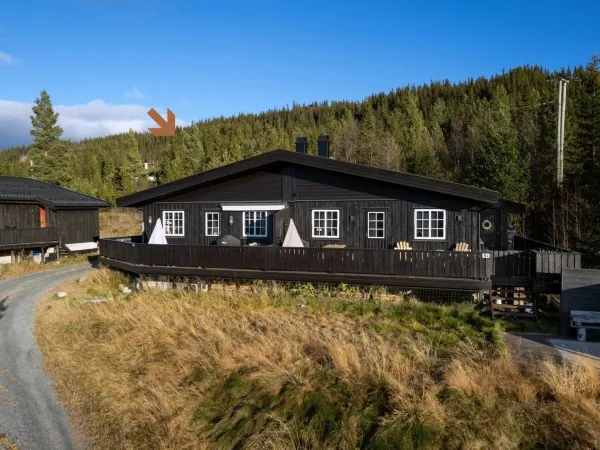 Høibu