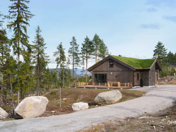 Skifjell