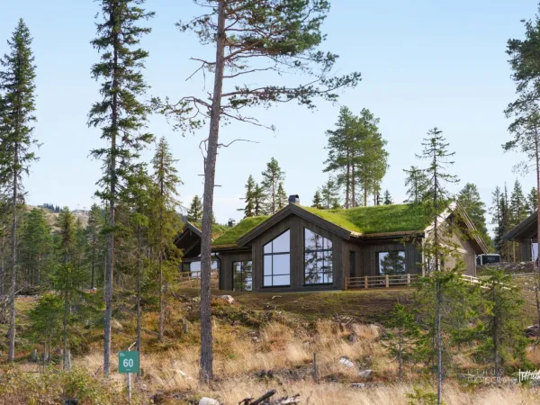 Skifjell