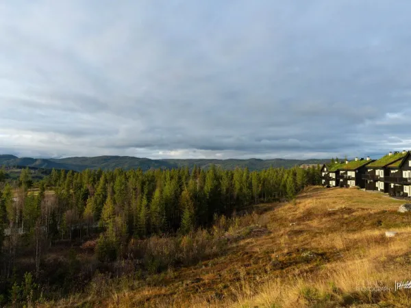 Fjellblikk