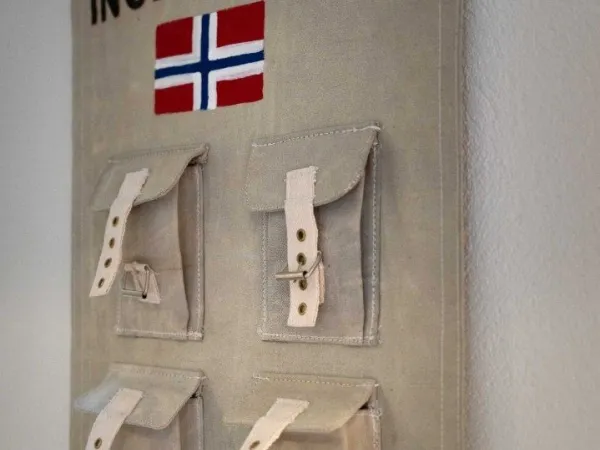 Fjellglimt