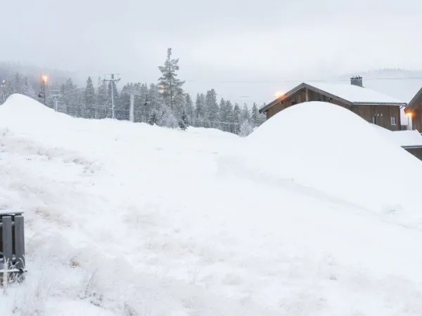 Kvartsfjell