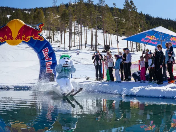 Easter Package with 25% off ski passes