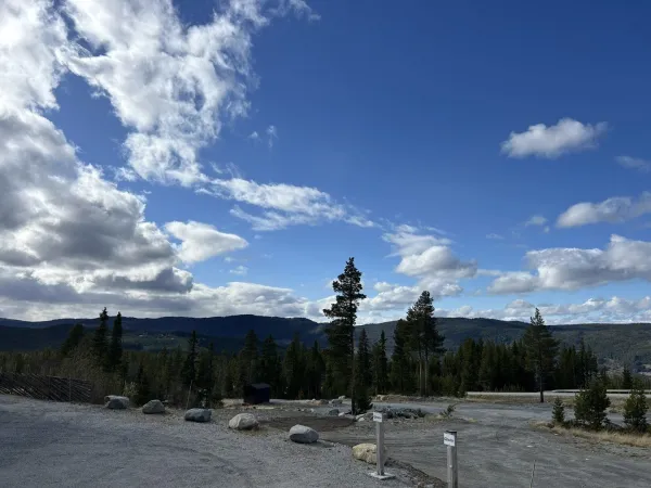 Høgebu