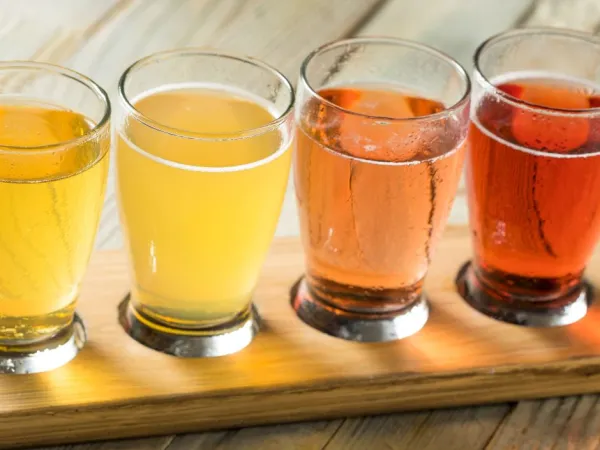 Smaking Norsk Cider