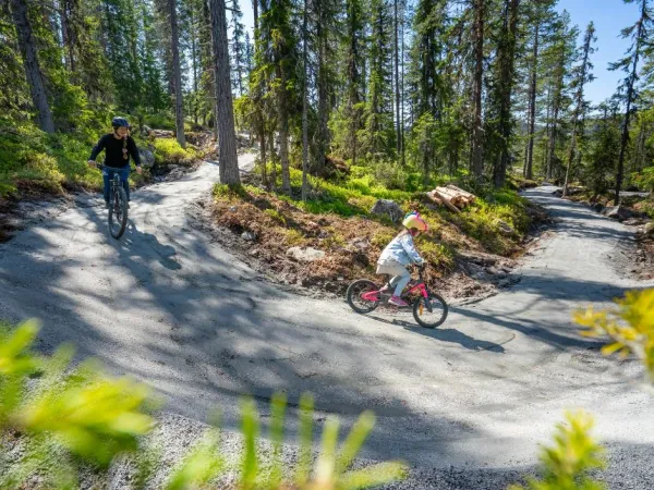Sykkelleik i Nessy-skogen