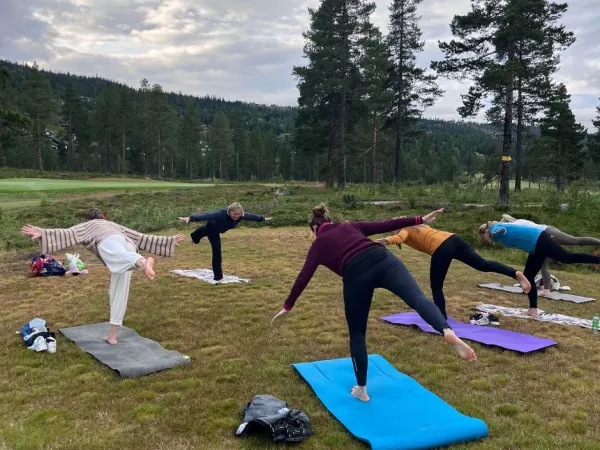 Fjell Yoga - Høst