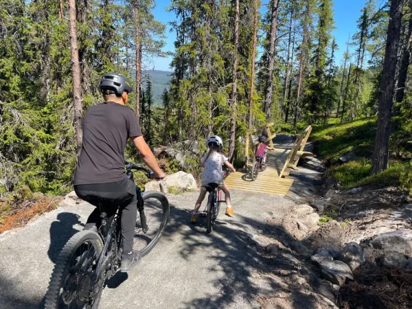 Sykkelkurs nivå 1