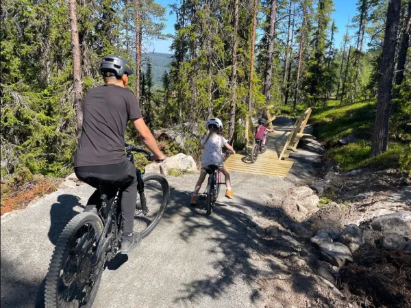 Nesfjellet Bike Park Gravity Day Sykkelkurs Nivå 1