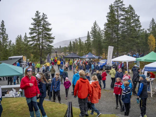 Festivalmarked