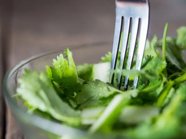 Vegetarisk 3-retters middag 