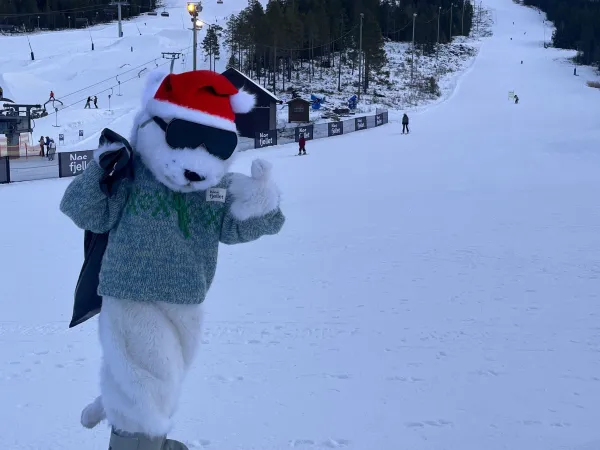 Kerstavond in Nesfjellet