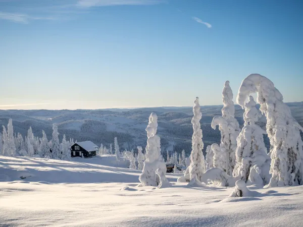 Grupplektion barn - 3 dagar 