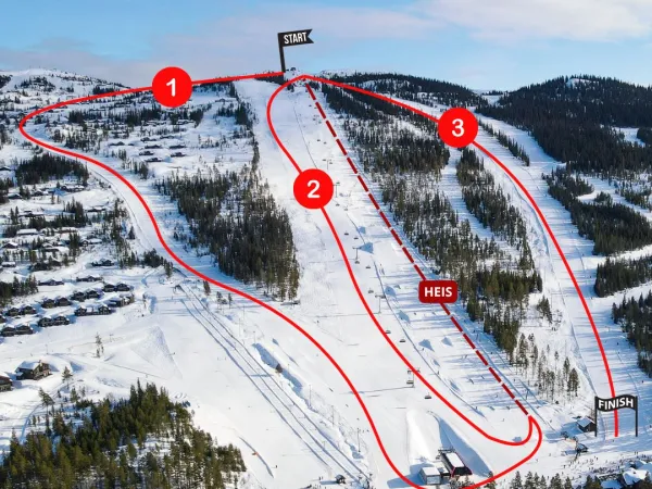 Night Grand Prix 03.04.26