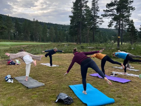 Fjell Yoga