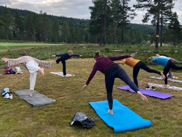 Yoga - Månedspass