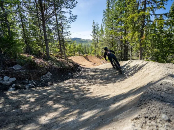 Lift pass Nesfjellet Bike Park
