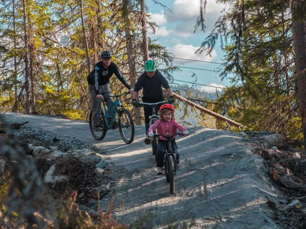 Guidet Sykkeltur Nesfjellet