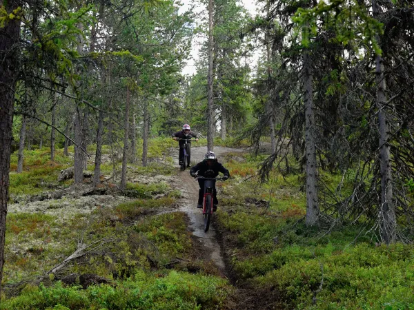 Nesfjellet DH