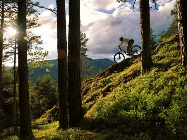 Chainless in the Blue Park