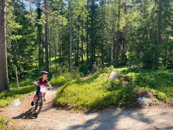 Kidz ride guidet tur
