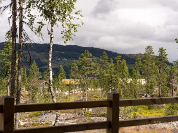 Skogsbu