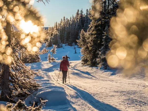 New Year at Nesfjellet 2026/2027