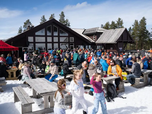 New Year at Nesfjellet 2026/2027