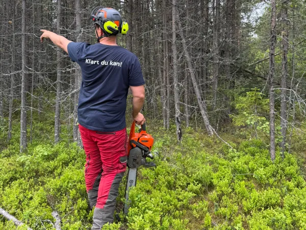 Grunnkurs i ryddesag og motorsag