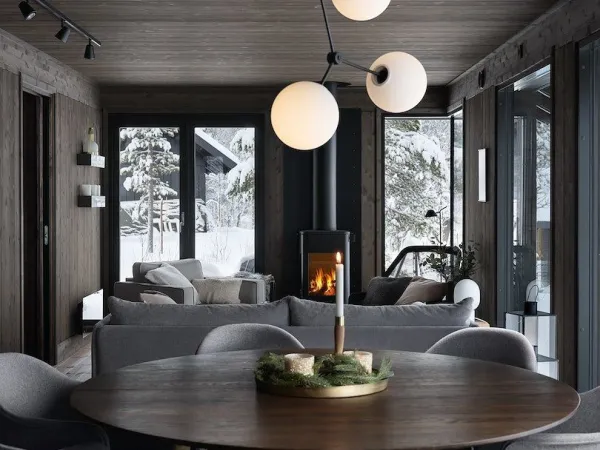 Skitunet