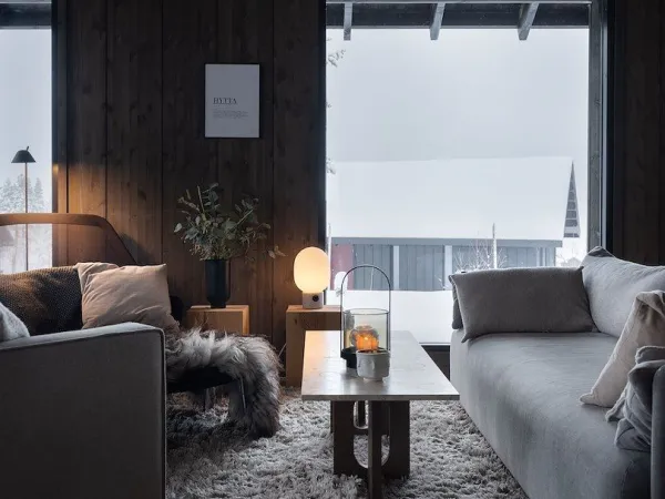 Skitunet