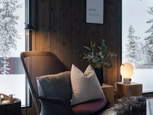 Skitunet