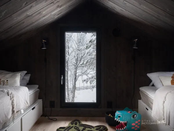 Skitunet