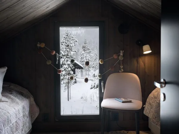 Skitunet