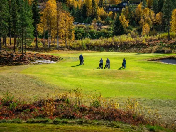Greenfee - Nesfjellet Golf