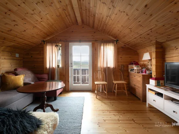 Fjellbris