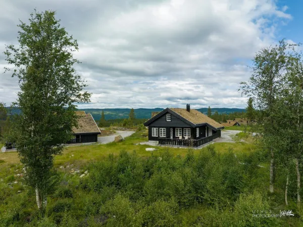 Ludvigsen