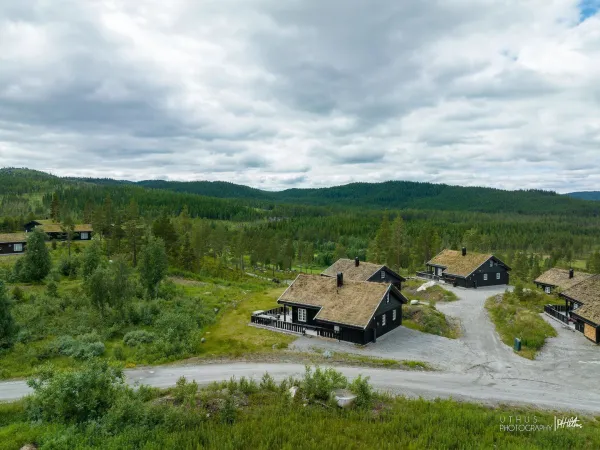 Ludvigsen